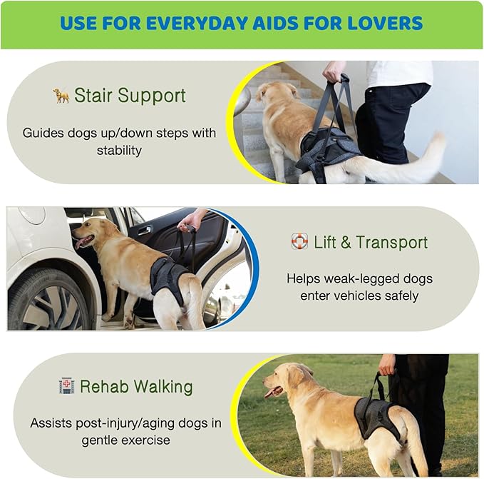 BARDIMIES Dog Lift Harness for Back Legs–Sturdy Dog Support Sling–Hip Sling Carrier for Large Medium Canine, Stair Helper for Aid Old Ligament Rehabilitation Pet, Grey,M