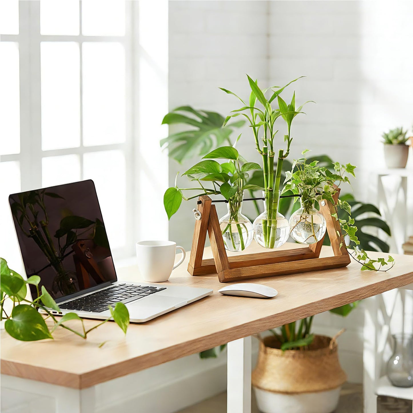 Renmxj Plant Propagation Station, Plant Terrarium with Wooden Stand