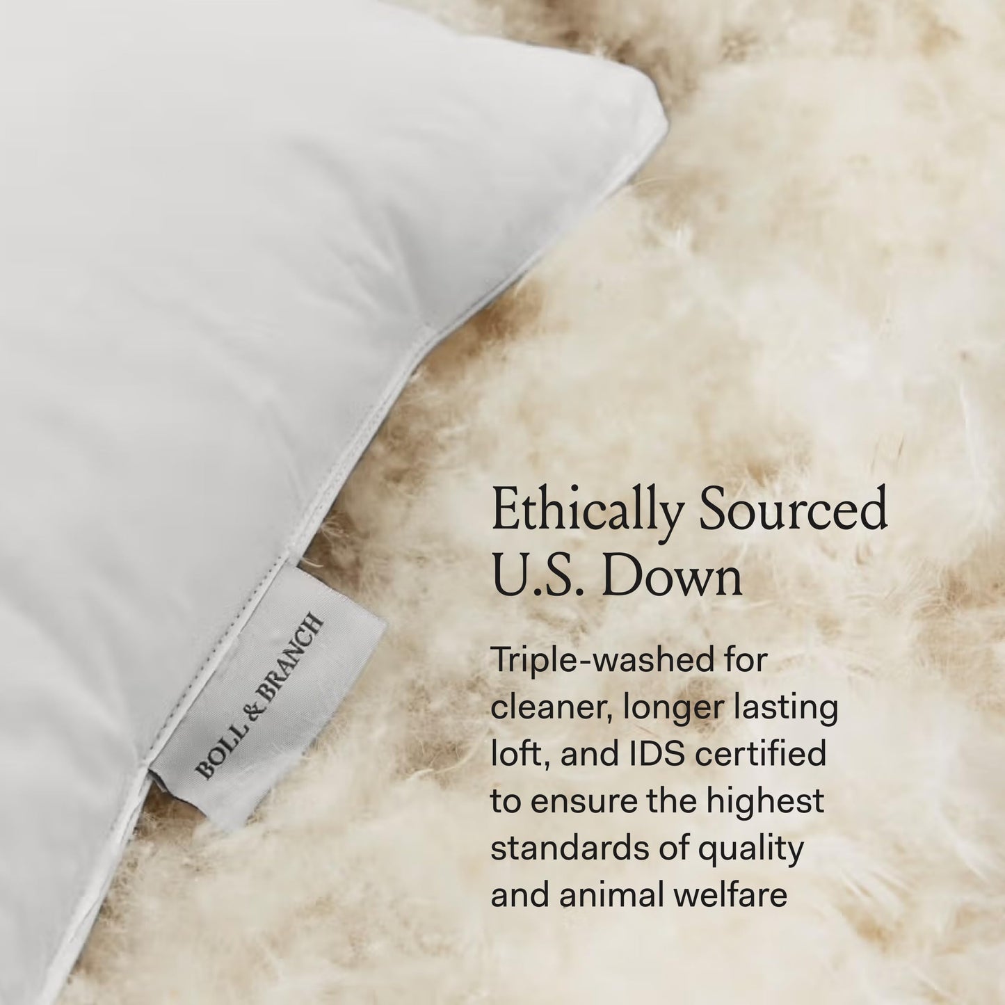 BOLL & BRANCH Down Chamber Pillow - Firm, Standard - Naturally Cooling Shell - Premium Comfort, Superior Support - Cruelty-Free IDS Certified Down