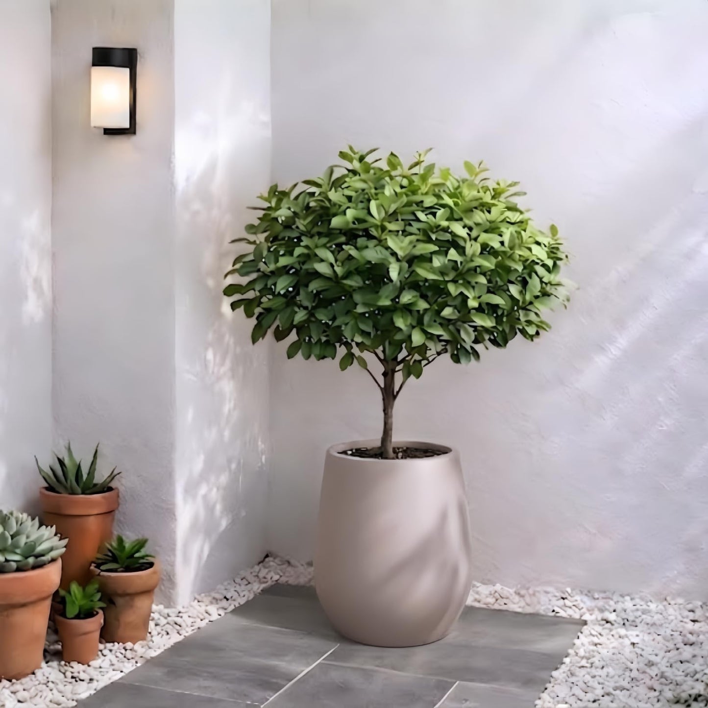 KUTE NEST 12.5" H x 11.4" D Premium Corso Fiberstone Round Planter for Outdoor & Indoor Plants, Ideal for Snake Plants, Monstera & House Plants, Included 2 Extra Coco Mats (Taupe, 9" Pot Opening)