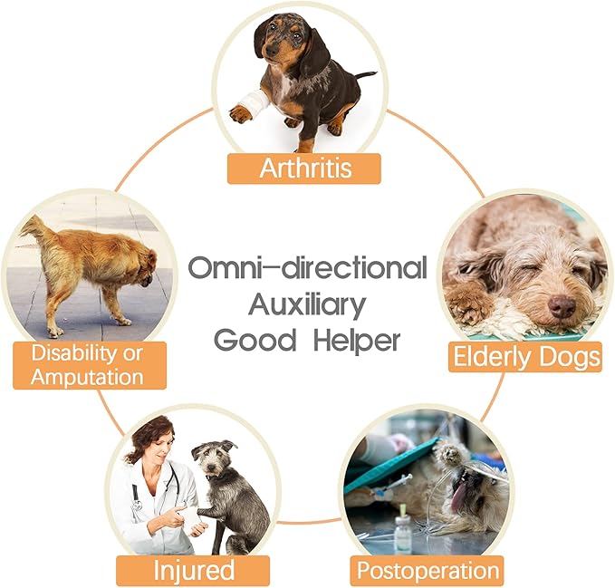 ROZKITCH Dog Lift Harness, Pet Rear Support Aid Veterinarian Approved Sling for Old K9 Help with Poor Stability, Back Leg Hip Disabled Joint Injury Elderly Arthritis ACL Rehabilitation Rehab Grey M