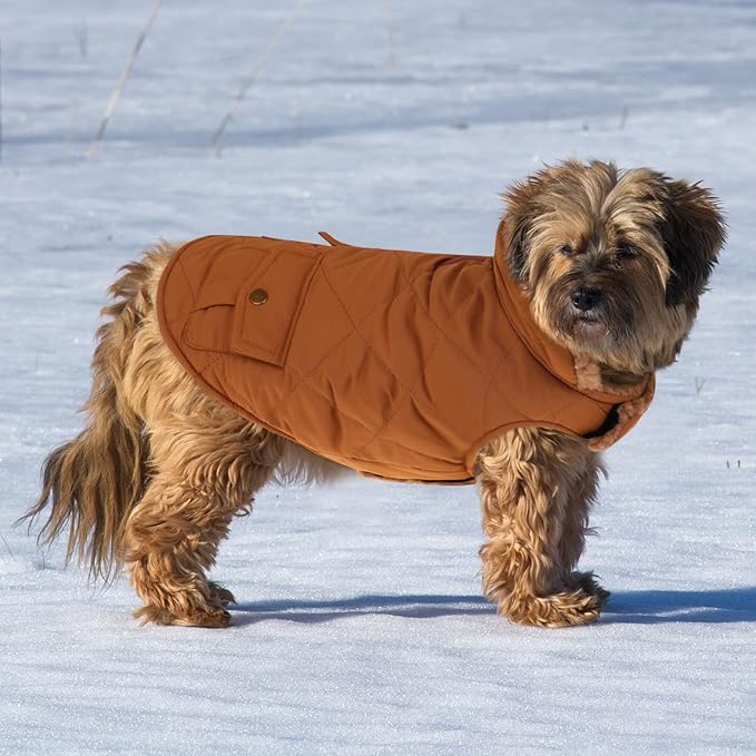 Queenmore Warm Puffer Dog Coat, Quilting Winter Jacket Ultra Thick Plush Lining with Storage Pockets (Brown, Small)