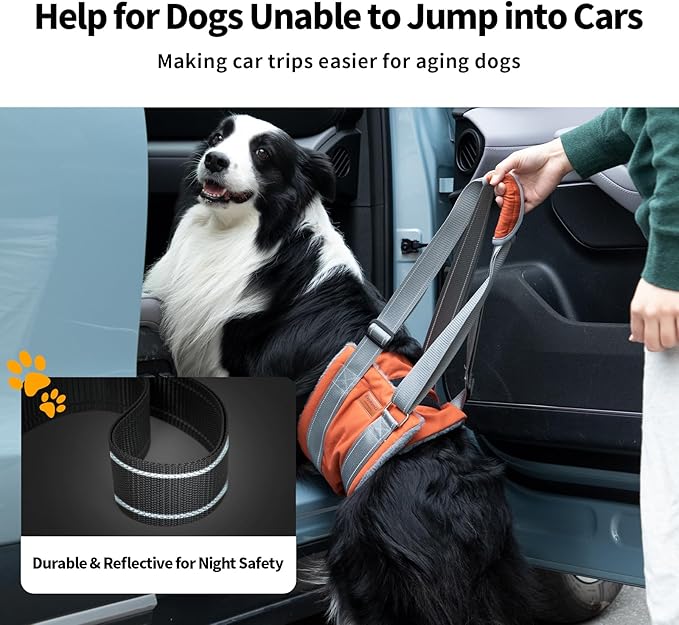 ExploreU Dog Sling for Back Legs Dog Lift Harness Magic Tape Hip Support Harness Rehab to Help Senior,Injured,Arthritis,Hip Dysplasia,Weak Rear Leg,Disabled,After ACL/CCL Surgery,TPLO Dogs (Brown, XL)