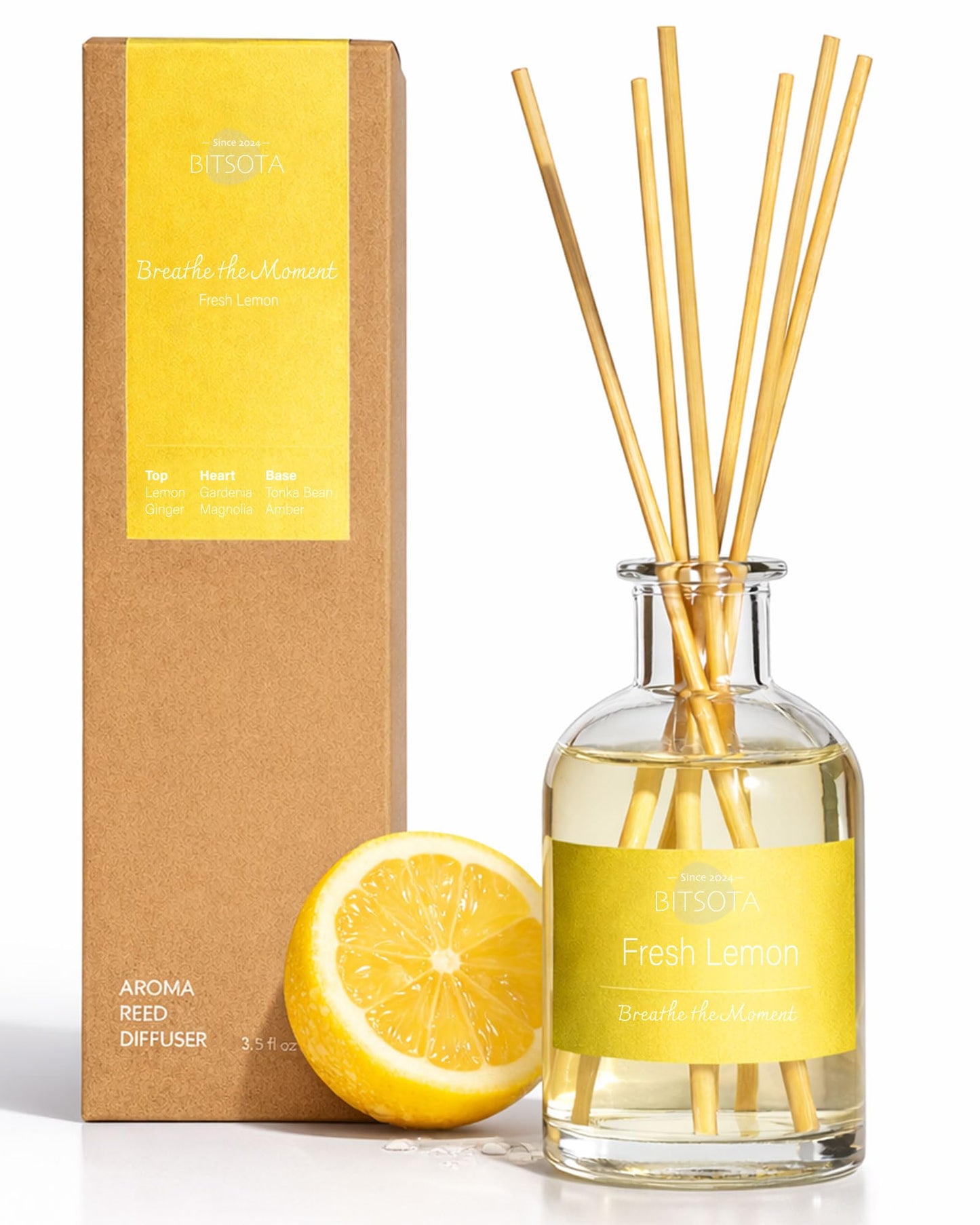 BITSOTA Natural Reed Diffuser Set, Fresh Lemon 3.52 oz (100ml) Scented Diffuser with Sticks Home Fragrance Reed Diffuser for Bathroom Shelf Decor, Ideal Gift for Woman