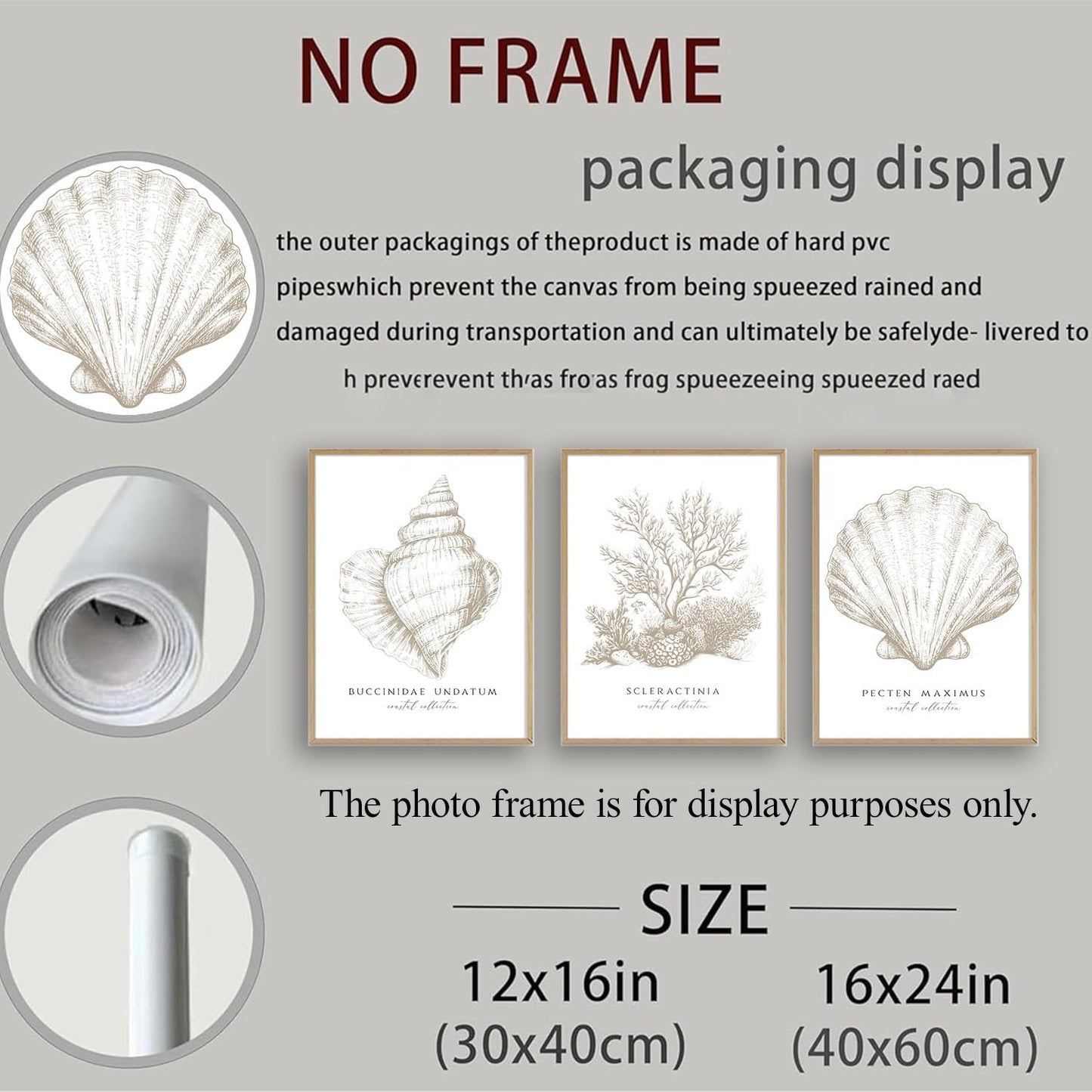 3 Pcs Beige White Set Seashell and Coral Wall Art Ocean Shell Canvas Wall Decor Pictures Neutral Beach Canvas Posters Prints for Living Room Bedroom Corridor Bathroom 12X16 in Unframed