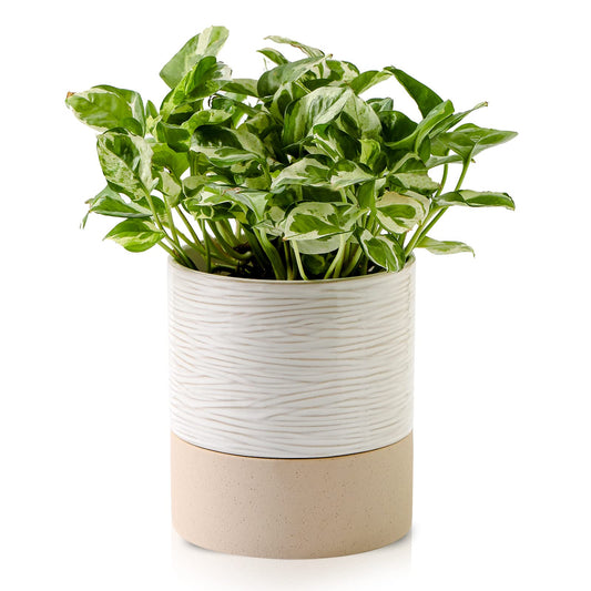 Nihow Ceramic Self Watering Plant Pot for Indoor Plants, 6 Inch,Cream White
