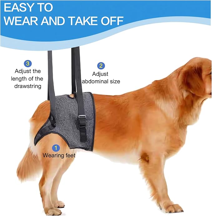 BARDIMIES Dog Lift Harness for Back Legs–Sturdy Dog Support Sling–Hip Sling Carrier for Large Medium Canine, Stair Helper for Aid Old Ligament Rehabilitation Pet, Grey,L