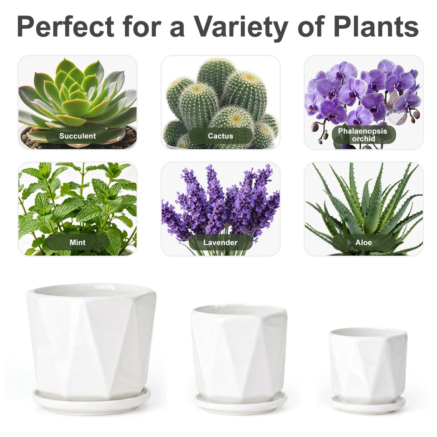 White Ceramic Planter Set of 3 with Drainage and Saucer, Indoor Plant Pots