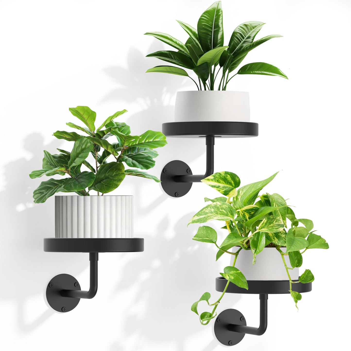 JOPBENG Wall Plant Holder, 6.3 Inch Metal Plant Hanger Indoor Wall Planter, Wall Mounted Plant Holder Window Plant Shelves for Outdoor Black 3Pcs