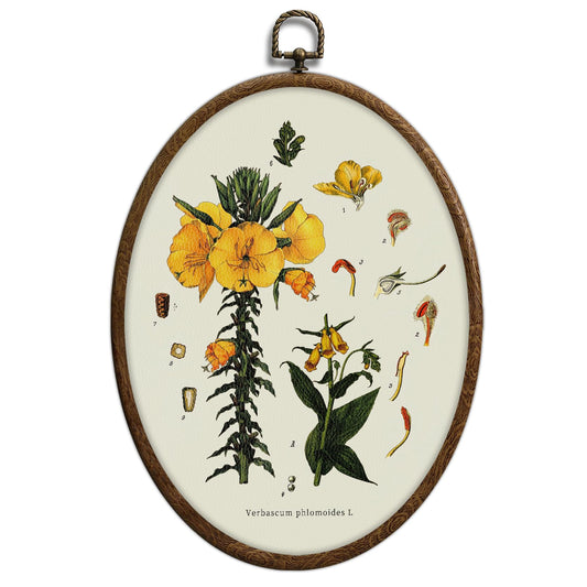 Vintage Boho Floral Oval Wall Art, Vintage Yellow Botanical Oval Framed Wall Art, Waterproof Cottage Core Home Decor for Western Farmhouse Bedroom Living Room, Home Retro Decor Products, 09