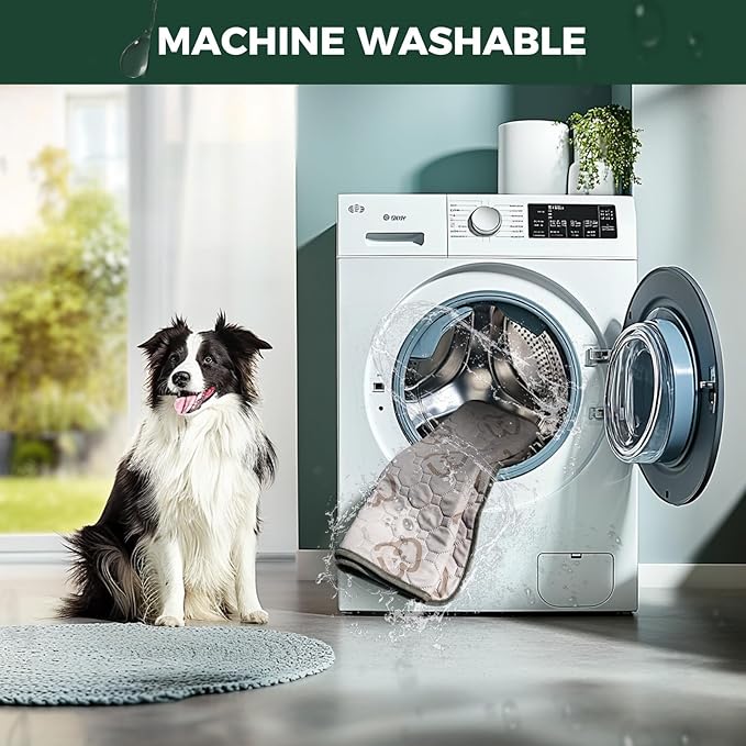 FXW TitanNest Chew-Proof Elevated Dog Bed, Raised Cot for Indoor/Outdoor/Camping Use, Durable & Waterproof Cooling Pet Bed with Exclusive Cover for Large Dogs, 50.0" L x 31.0" W x 7.3" H, Black