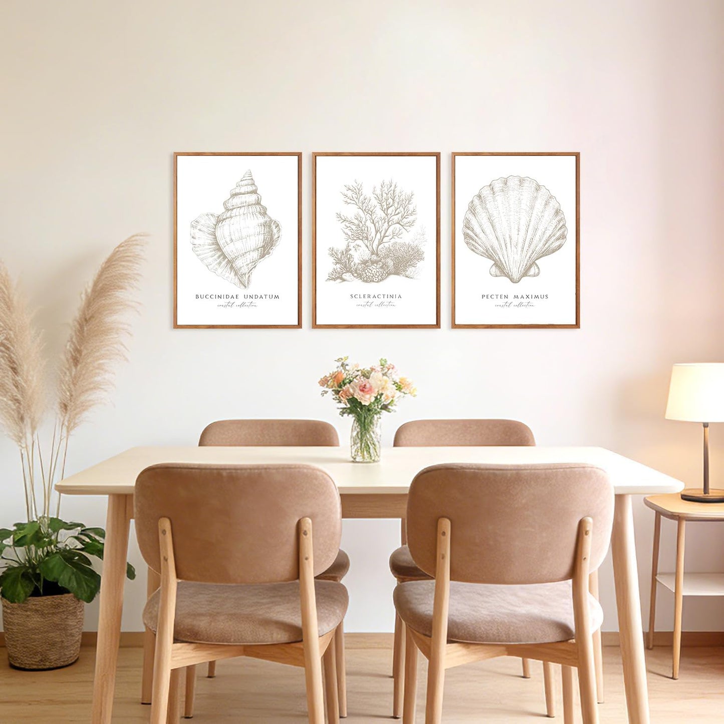 3 Pcs Beige White Set Seashell and Coral Wall Art Ocean Shell Canvas Wall Decor Pictures Neutral Beach Canvas Posters Prints for Living Room Bedroom Corridor Bathroom 12X16 in Unframed