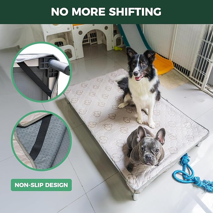 FXW TitanNest Chew-Proof Elevated Dog Bed, Raised Cot for Indoor/Outdoor/Camping Use, Durable & Washable Padded Pet Bed with Exclusive Cover for Small Dogs, 35.0" L x 22.0" W x 4.5" H, Gray