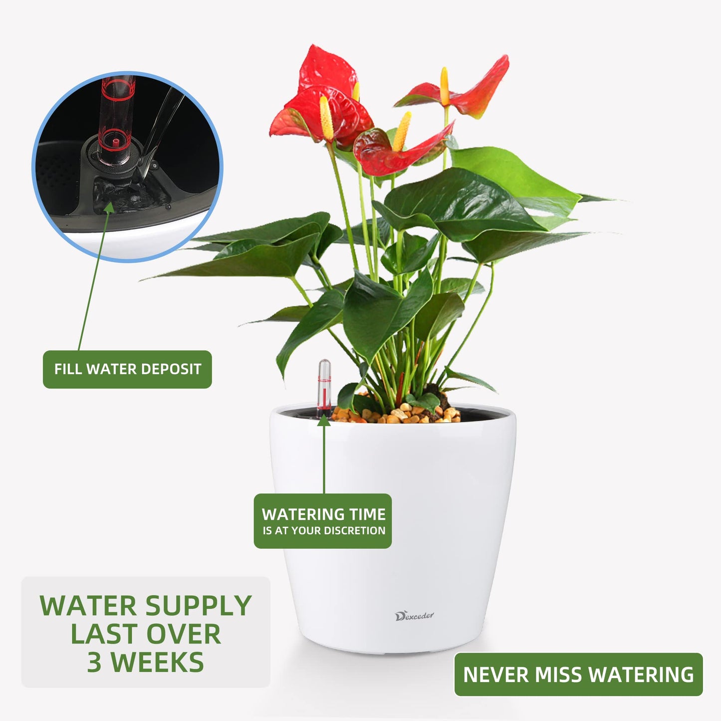 Dexceder 9x8 Self Watering Planter (White High Gloss)