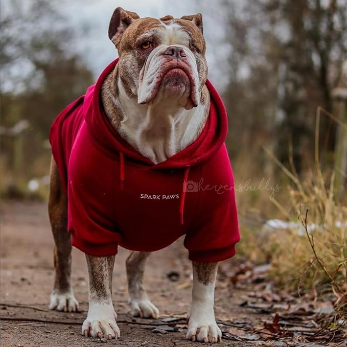 Spark Paws Dog Hoodie – Premium Dog Sweater for Small, Medium, and Large Dogs | Warm Outfits for French Bulldogs, Pitbull, Puppy, Winter Jacket Alternative - Burgundy - 3XL