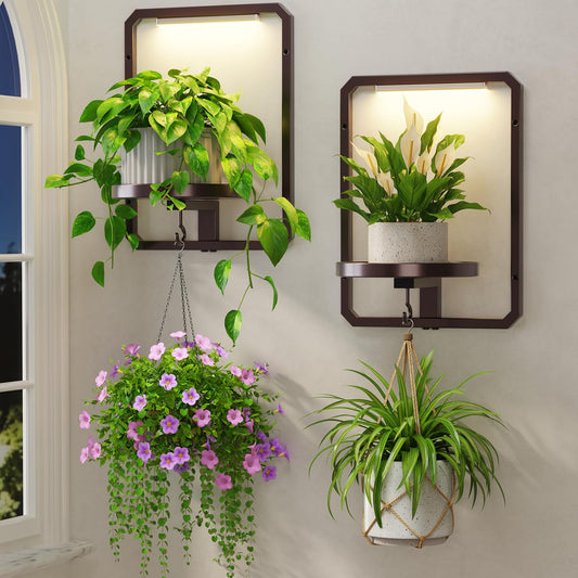 LASZOLA Plant Picture Frame Holder Wall Mount for Indoor Window, 2 Pack Modern Floating Flower Hanger Shelf with Hooks, Metal Stand Display Decor for Living Room, Brown