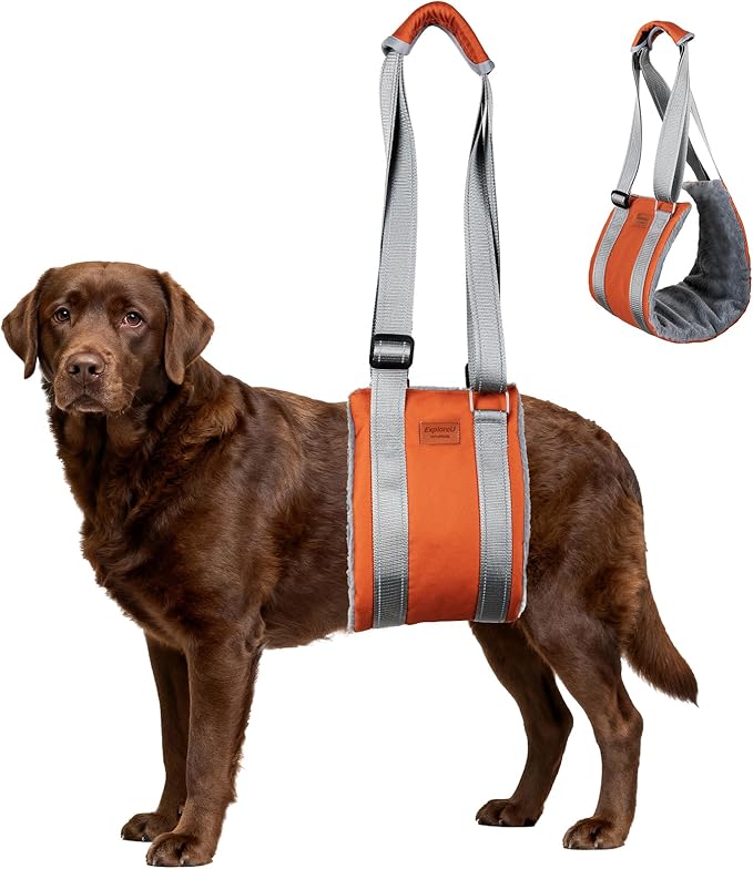 ExploreU Dog Sling for Back Legs Dog Lift Harness Magic Tape Hip Support Harness Rehab to Help Senior,Injured,Arthritis,Hip Dysplasia,Weak Rear Leg,Disabled,After ACL/CCL Surgery,TPLO Dogs (Brown, L)