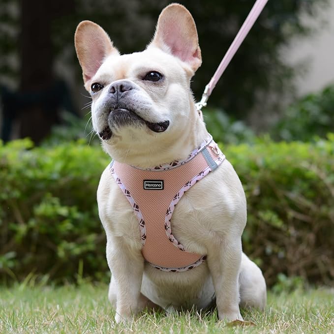 Mercano Soft Mesh Dog Harness and Leash Set, No-Chock Step-in Reflective Breathable Lightweight Easy Walk Vest Harnesses with Safety Buckle for Small Dogs, Cats (Champagne, XS)