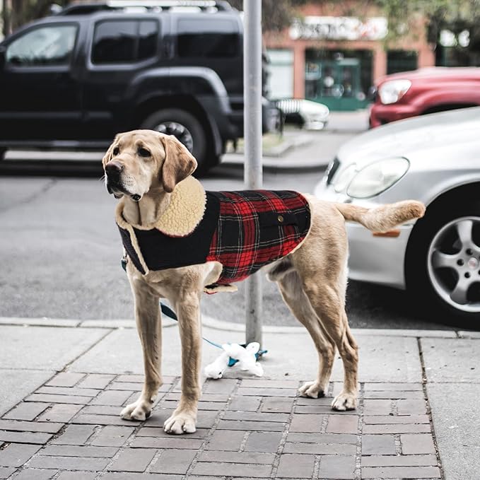 Winter Coat for Small and Medium Dogs, Puppy Plaid Jacket, Warm Coat for Cold Weather, Windproof Warm Dog Garments, Pet Thickened Outfits Indoor Outdoor, Red M