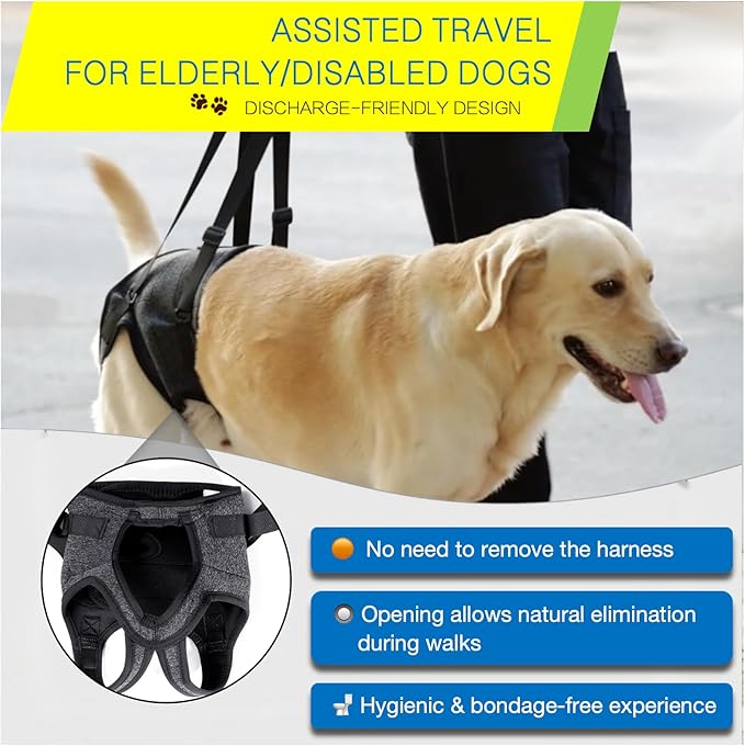 BARDIMIES Dog Lift Harness for Back Legs–Sturdy Dog Support Sling–Hip Sling Carrier for Large Medium Canine, Stair Helper for Aid Old Ligament Rehabilitation Pet, Grey,M