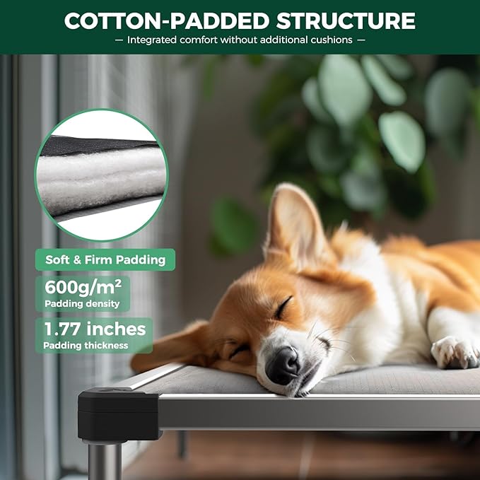 FXW TitanNest Chew-Proof Elevated Dog Bed, Raised Cot for Indoor/Outdoor/Camping Use, Durable & Washable Padded Pet Bed with Exclusive Cover for Extra-Small Dogs, 30.0" L x 22.0" W x 4.5" H, Gray