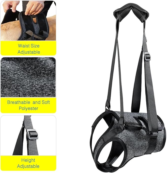 BARDIMIES Dog Lift Harness for Back Legs–Sturdy Dog Support Sling–Hip Sling Carrier for Large Medium Canine, Stair Helper for Aid Old Ligament Rehabilitation Pet, Grey,L