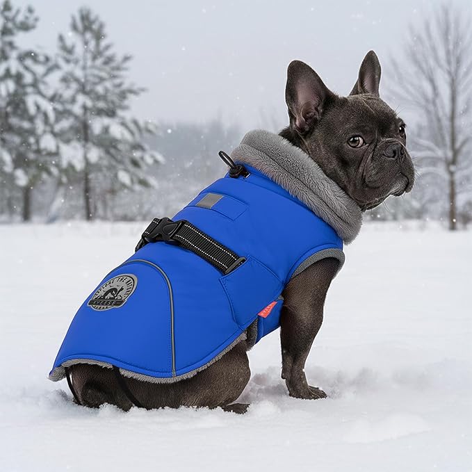 KYEESE Waterproof Dog Coat, Windproof Warm Winter Jacket with Leash Hole, Reflective Cold Weather Dog Coats for Small Dogs, Outdoor Pet Coat Cozy Puppy Jacket Thick Fleece Lined, Blue, Small
