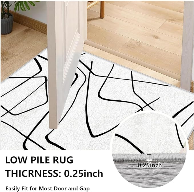 Black and White Rug - Abstract Area Rug, Black and White Rugs for Living Room, Modern Minimalist Washable Rugs, Contemporary Carpet Non Slip Home Decor, Curve 3x4
