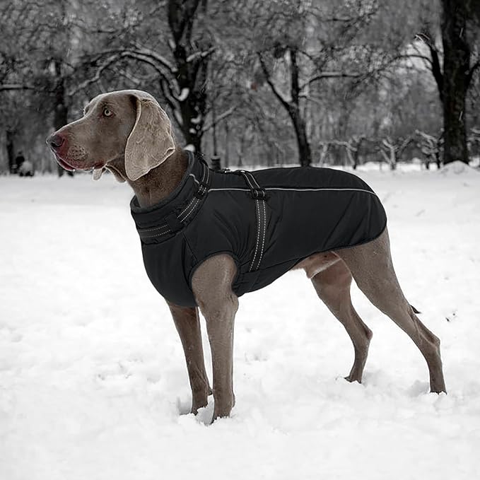 Lelepet Dog Coat for Large Dogs Waterproof Dog Jacket with Harness Built in Reflective Fleece Jacket with Zip Warm Winter Coats for Dogs Cold Weather Thermal Pet Snowsuit, Border Collie, Black, XL