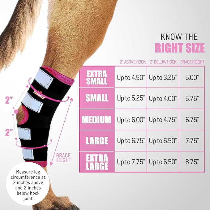 NeoAlly Dog Rear Leg Braces [Long Version] Canine Hind Hock Support with Safety Reflective Straps for Joint Injury, Sprain Protection, Wound Healing and Loss of Stability from Arthritis (Pink L Pair)