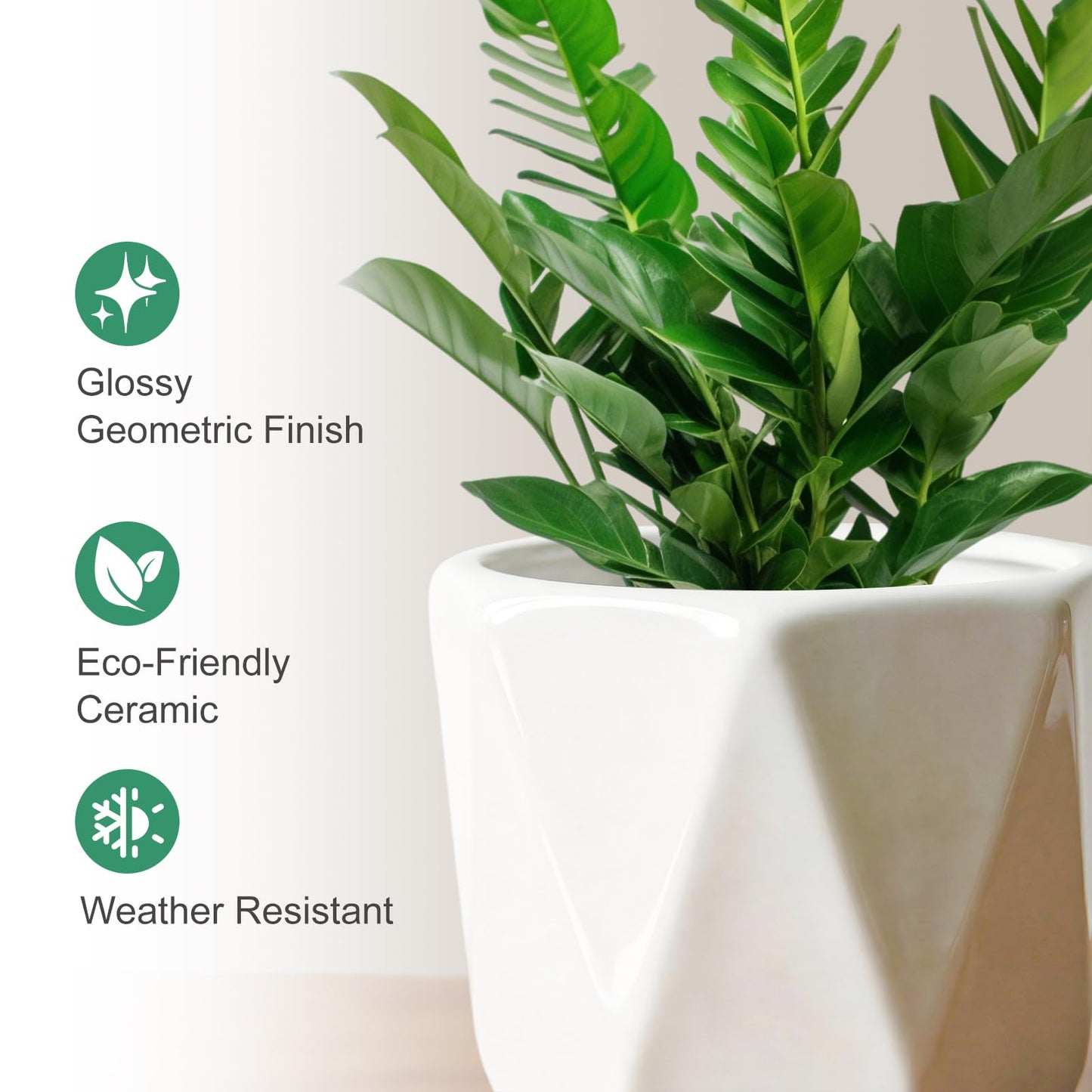 White Ceramic Planter Set of 3 with Drainage and Saucer, Indoor Plant Pots