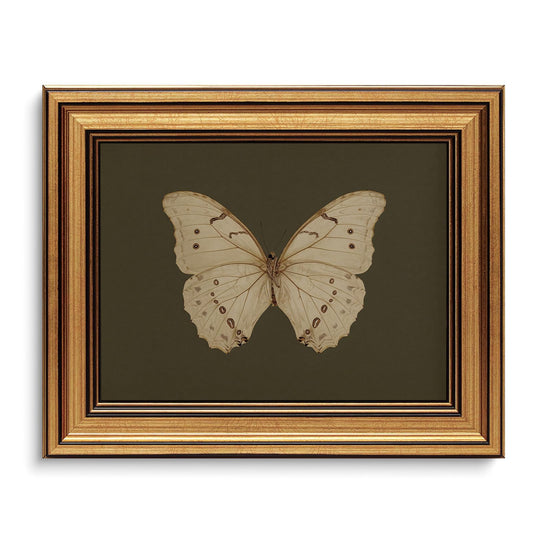Gold Framed Wall Art Vintage Butterfly Canvas Wall Art White Butterfly Moody Insect Artwork Prints Picture for Living Room Bedroom Farmhouse Bathroom Office Decor, 8x10