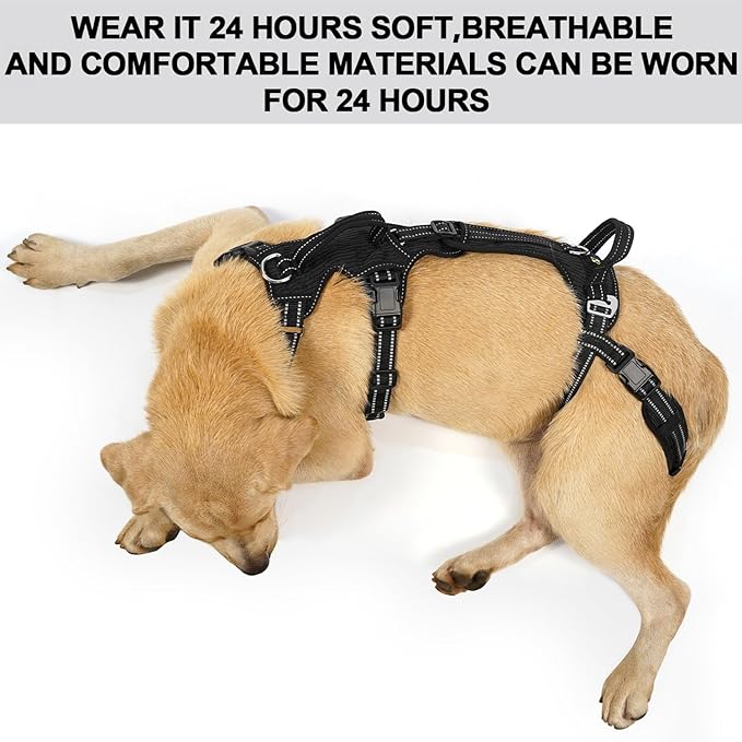 COODEO Mobility Dog Lift Harness, Support Sling & Walking Sling for Dogs, Pet Rear Leg Rehabilitation Support Vest, Dog Carrier for Senior Dogs with Joint Injuries, Arthritis, Up Stair (Black, M)