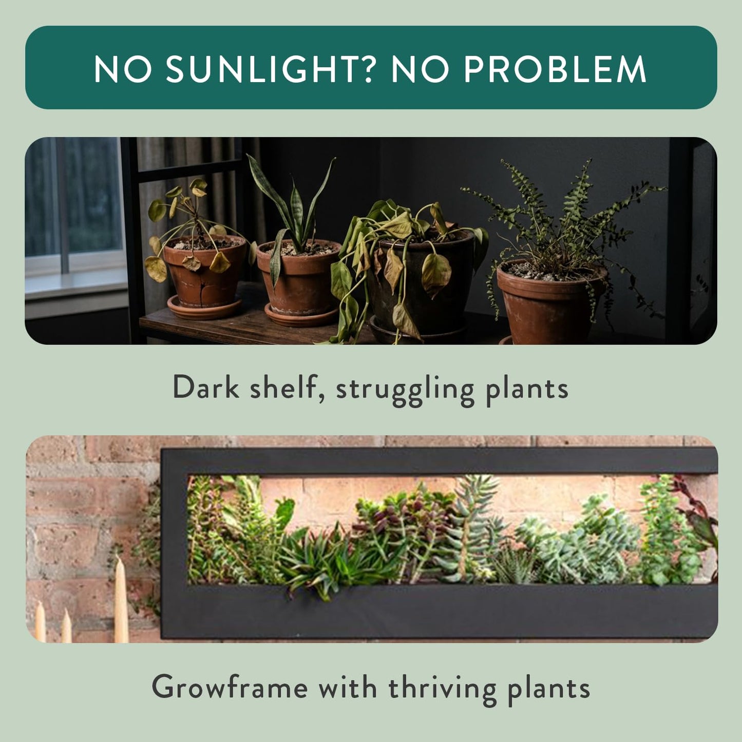 Modern Sprout Smart Landscape Growframe - Wall Mounted Plant Stand with LED Grow Light - Smart App Controlled - Powder-Coated Steel Frame for Indoor Plants - Perfect for Gifting and Decor - Black