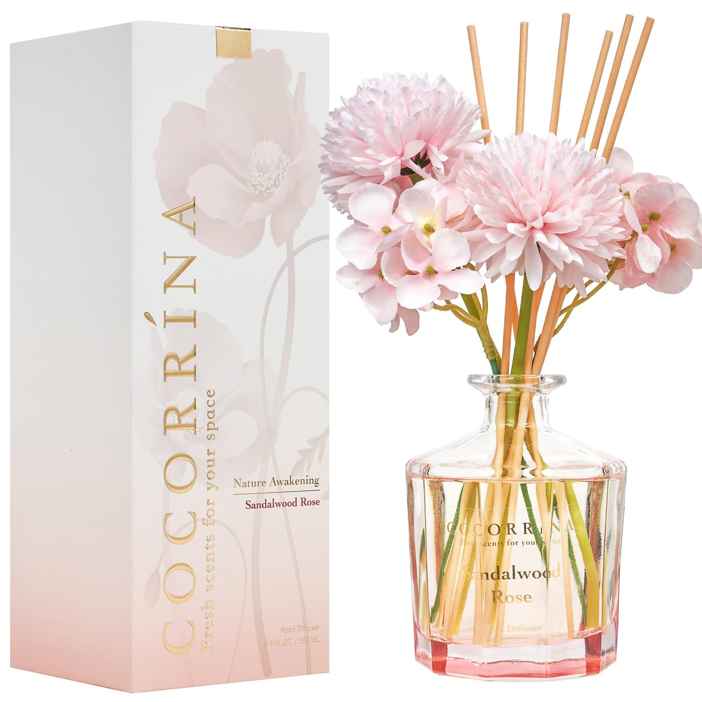 COCORRÍNA Reed Diffuser - Sandalwood Rose 8.5 Fl.oz Flower Reed Diffuser Set with 8 Sticks, Home Fragrance Reed Diffuser for Home Bedroom Office Bathroom Shelf Decor (Master Collection)