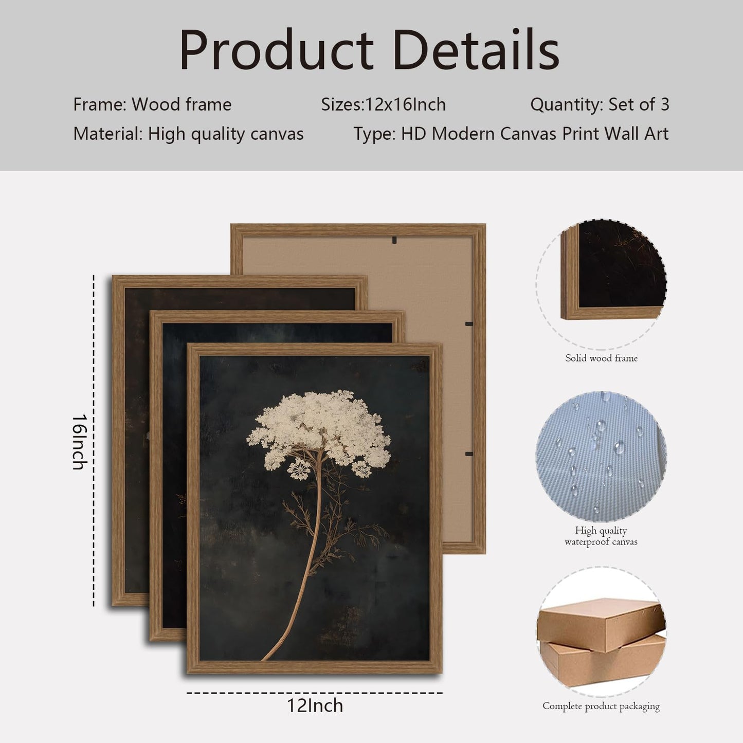 3Pcs Framed Moody Botanical Black Dark Flower Canvas Wall Art Set Elegant White Queen Anne’s Lace Flower Prints, Botanical Painting for Living Room, Bedroom, Office, Home Decor 12x16in