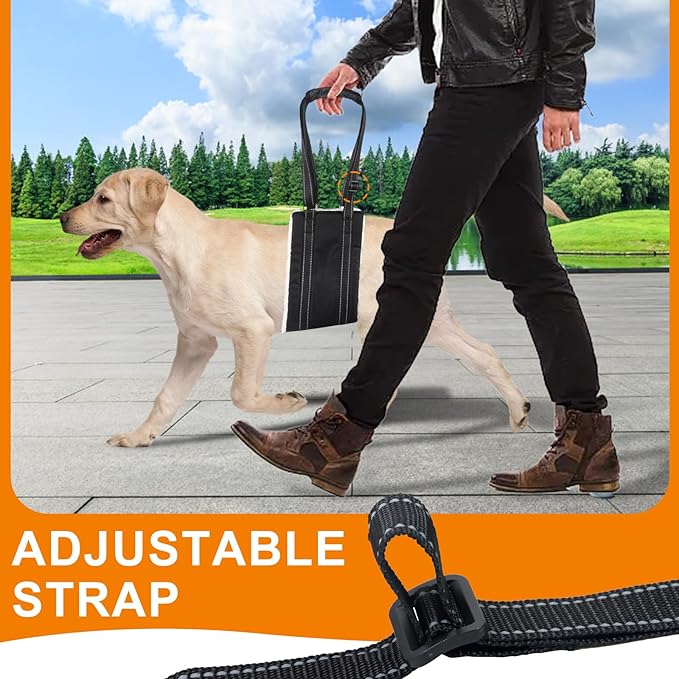 Adjustable Dog Lift Harness Dog Sling Portable Dog Sling for Back Legs Dog Lift Harness for Large Dogs Soft Lift Support and Rehab Harness for Senior,Injured,Disabled Dogs After ACL Surgery (M)