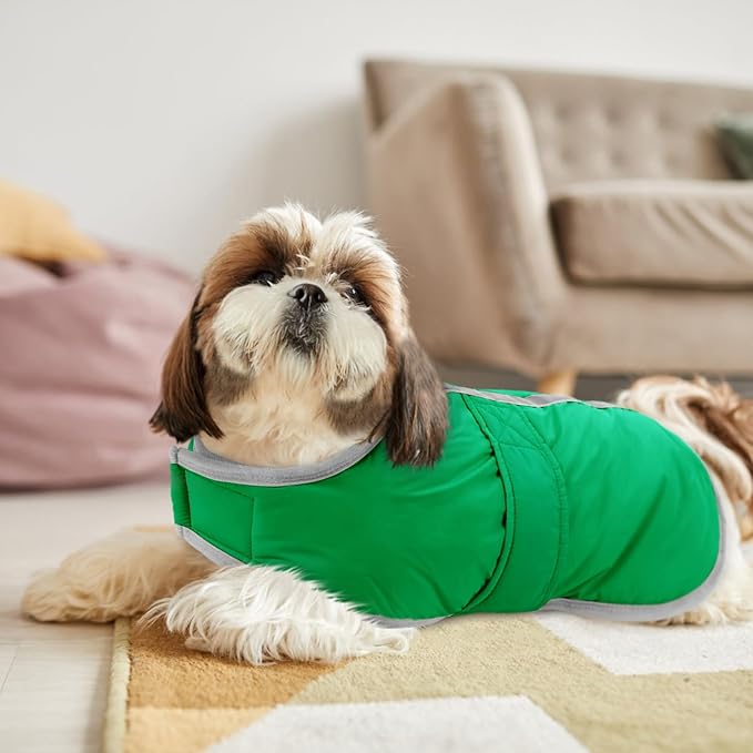 Queenmore Dog Winter Coat, Cold Weather Fleece Jacket for Dogs, Waterproof Reflective Reversible, for Small, Medium and Large Dogs (Green, M)