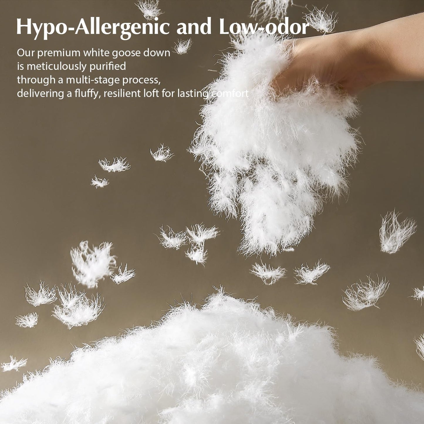 Pacific Coast Bed Pillow, Luxury Hotel Collection White Goose Down Pillow for Sleeping, 650 Fill Power, 450 Thread Count 100% Cotton Jacquard Fabric, Luxury Plush Feel, Soft, Standard Size, 1 Pack