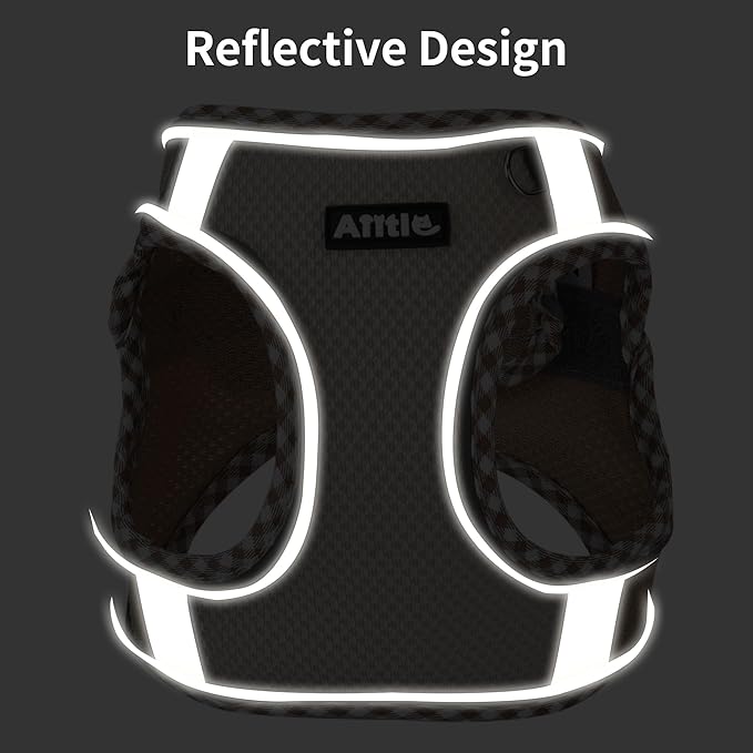 AIITLE XXS Dog Harness & Leash Set - Breathable Reflective No-Choke Small Dog Harness for Teacup Puppies, Indoor/Outdoor Use - Boston Terrier, Maltese, Chihuahua (Purple, XXS)