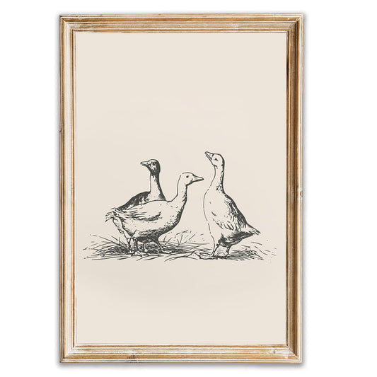 Vintage Duck Wall Art Prints Minimalist Abstract Animal Picture for Wall Decor Antique Vintage Painting Farmhouse Wall Decor Country Farm Animal Artwork for Living Room Kitchen Decor -16x24inch Poster