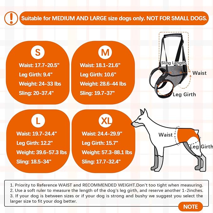 ROZKITCH Dog Lift Harness, Pet Rear Support Aid Veterinarian Approved Sling for Old K9 Help with Poor Stability, Back Leg Hip Disabled Joint Injury Elderly Arthritis ACL Rehabilitation Rehab Grey M