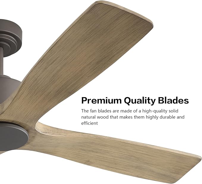 WINGBO 54 Inch DC Ceiling Fan without Lights, 4 Carved Solid Wood Blades, 6-Speed Noiseless Reversible DC Motor, Modern Ceiling Fan No Light with Remote, Graphite Finish with Gray Blades, ETL Listed