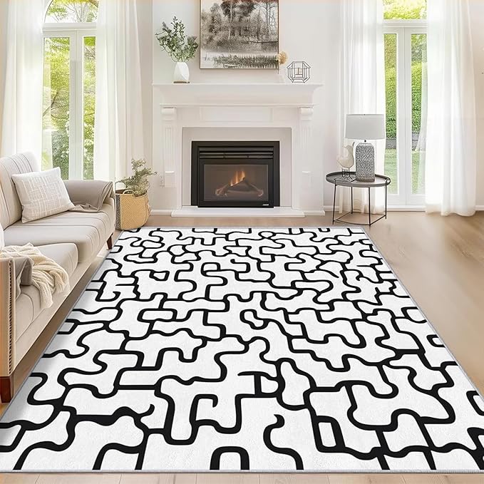Abstract Geometric Rugs for Home Decor, 6x9 ft, Black and White Labyrinth Area Rugs for Living Room, Soft Non Slip Washable Modern Abstract Line Carpet Bedroom Decorations Dt-Ghf-31