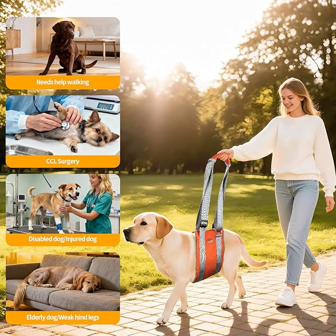 ExploreU Dog Sling for Back Legs Dog Lift Harness Magic Tape Hip Support Harness Rehab to Help Senior,Injured,Arthritis,Hip Dysplasia,Weak Rear Leg,Disabled,After ACL/CCL Surgery,TPLO Dogs (Brown, M)