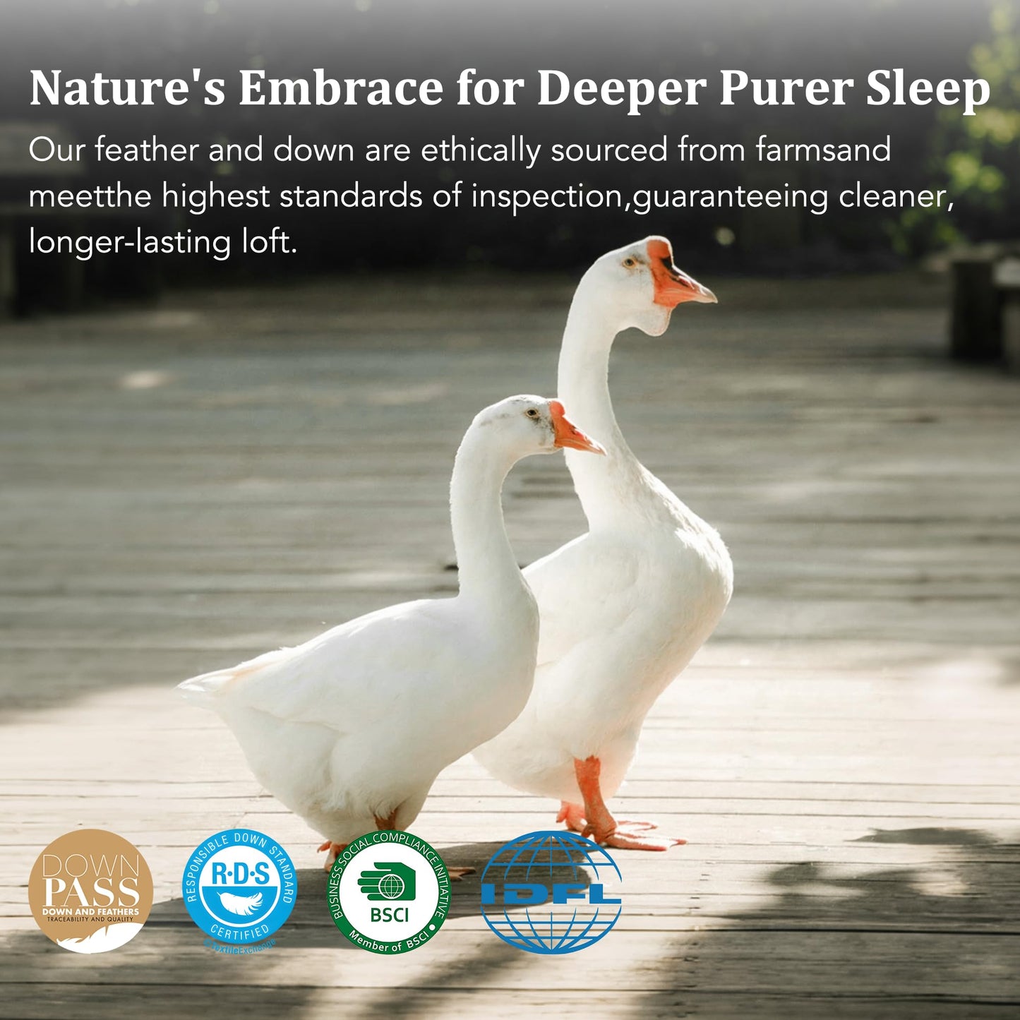 HYVIF Bed Pillow, Luxury Hotel Feather and Down Pillow for Side and Back Sleepers with Premium Cotton Shell, Gusseted Soft and Supportive, Downproof, Queen Size 1 Pack