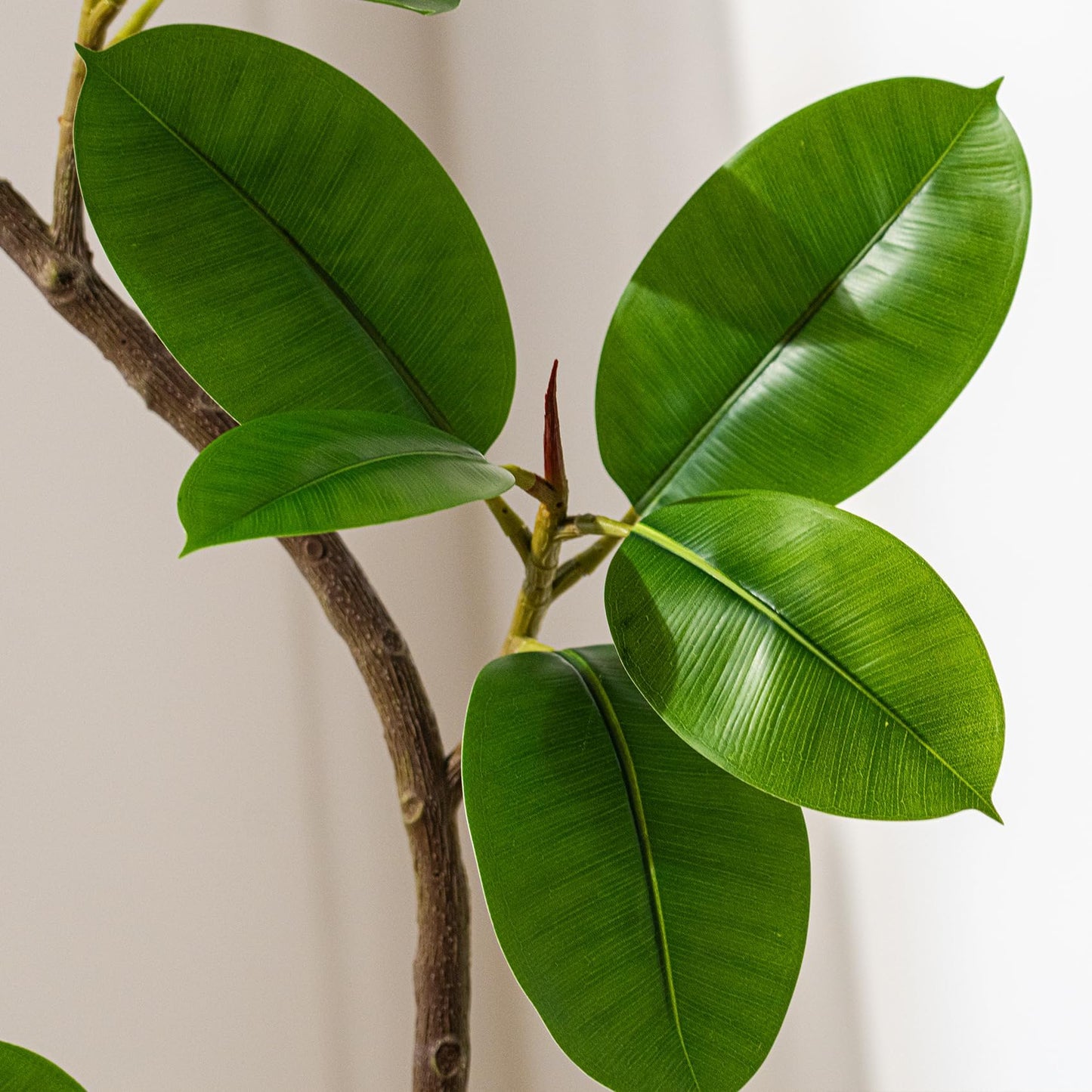 Bailikang 4.6ft Artificial Rubber Tree Faux Plants Indoor Faux Floor Artificial Trees Indoor,Fake Plant Fake Tropical Plants,Large Floor,Real Touch Rubber Tree for Home Decor