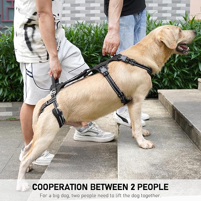 COODEO Mobility Dog Lift Harness, Support Sling & Walking Sling for Dogs, Pet Rear Leg Rehabilitation Support Vest, Dog Carrier for Senior Dogs with Joint Injuries, Arthritis, Up Stair (Black, M)