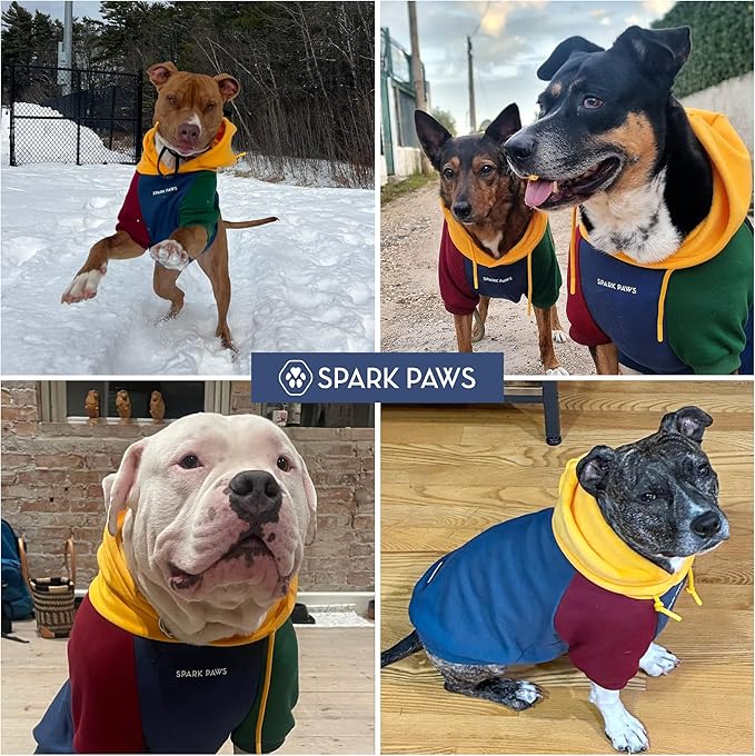 Spark Paws Dog Hoodie – Premium Dog Sweater for Small, Medium, and Large Dogs | Warm Outfits for French Bulldogs, Pitbull, Puppy, Winter Jacket Alternative - Primary Color Block - XL