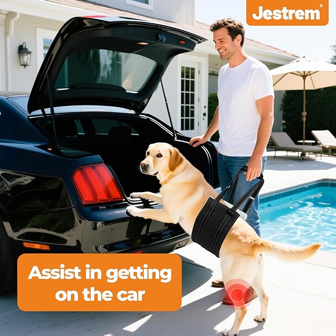 Jestrem Dog Lift Harness, Adjustable Comfortable Dog Sling with Handle for Large Dog Knee Brace for Torn ACL Hind Leg, Weak Rear Legs, Helps Senior, Injured, Disabled,M